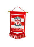 Liverpool Mini Team Banner