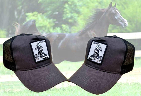 Premium Stallion Horse Trucker Hat Cap Gorra De Semental Caballo