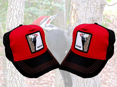 Premium Pecker Bird Trucker Hat Cap Gorra De Pajaro Carpintero