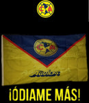 Club America Flag Bandera Limited Edition 2019